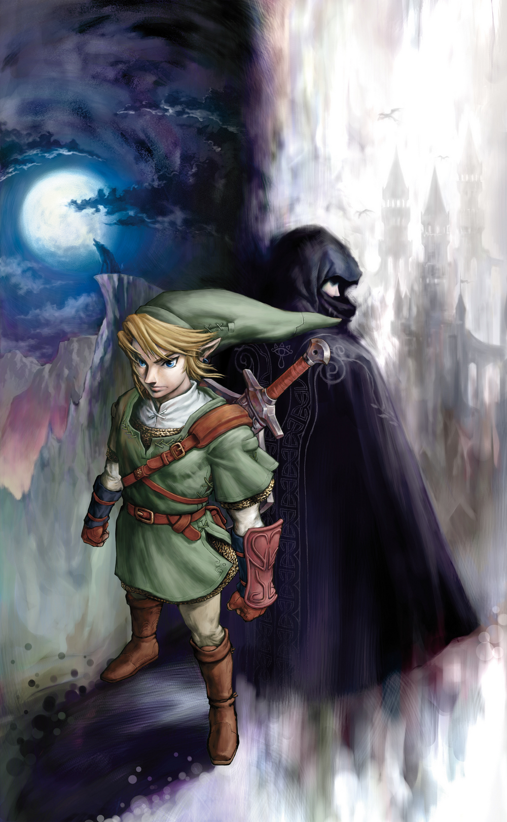 Link et Zelda TP