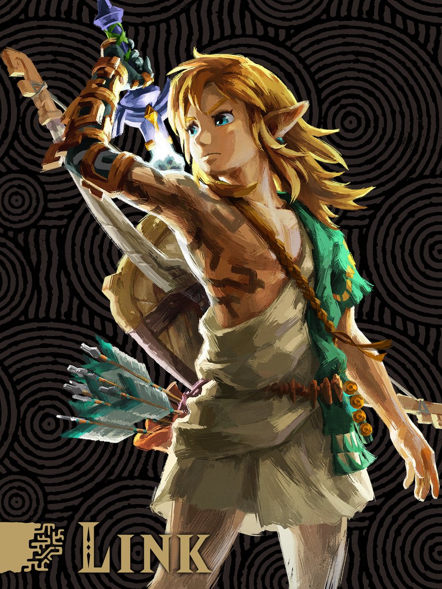 Link TotK - Portrait